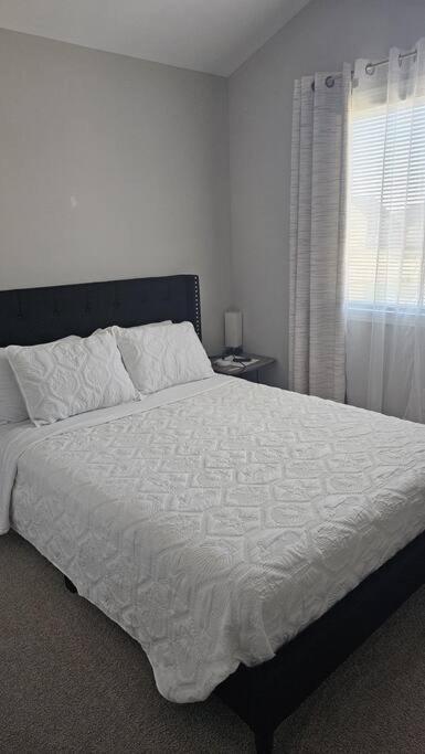 Gorgeous 3 Bedroom Home With Cable Tv In All Rooms & Free Wi-Fi 康科德 外观 照片
